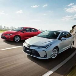 Corolla